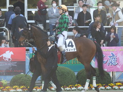 20180325 中山1R 3歳未勝利 ルフィーナ 12