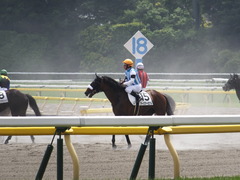 20160529 東京6R 3歳500万下 アークアーセナル 20