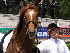20160521 東京3R 3歳未勝利 オートシャンティ 13