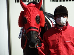 20180303 中山2R 3歳未勝利 ノーザンクリス 08