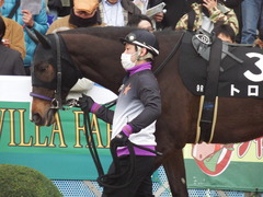 20190323 中山9R ミモザ賞 3歳牝馬(500) トロハ 09