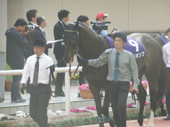 20180401 阪神11R 大阪杯(G1) トリオンフ 02