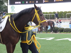 20150104 中山2R 3歳未勝利 ノーブルクリスタル 03