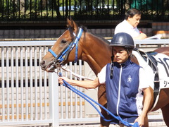 20140921 新潟1R シーユーアゲン 03