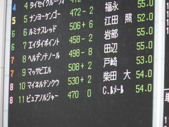 20150621 東京10R 芦ノ湖特別 マッサビエル 02