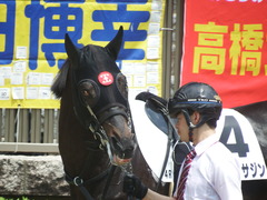 20190504 東京4R 3歳未勝利 ショウナンサジン 06