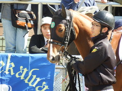 20180317 中山6R 3歳未勝利 リベラシオン 04