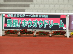 20180401 阪神10R 御堂筋S(1600) ホウオウドリーム 01