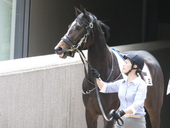 20160514 東京5R 3歳牝馬未勝利 ツボミ 02