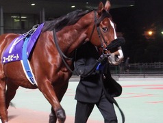 20181205 大井11R 勝島王冠(S2) ユーロビート 10