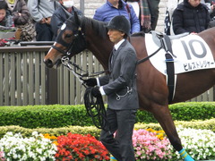 20161030 東京4R 2歳メイクデビュー ビルズトレジャー 08