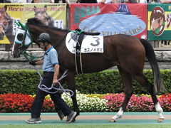 20150621 東京5R 2歳メイクデビュー カズノメガミ 03