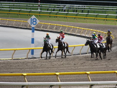 20140629 東京7R レッドルイーザ 12