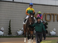 20170114 京都12R 4歳上1000万下 タンギモウジア 14