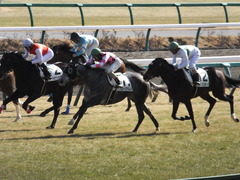 20150117 中山5R 3歳未勝利 グローリアスレイ 15