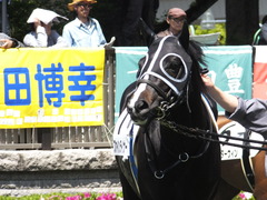 20150426 東京6R 3歳500万下 ファインライナー 07