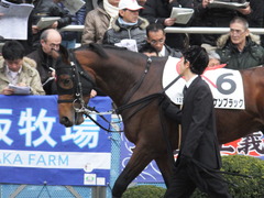 20160111 中山12R 4歳上500万下 オウケンブラック 05