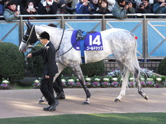 20131222 有馬記念 ゴールドシップ 01