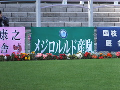 20151025 京都11R 菊花賞(G1) マッサビエル 01