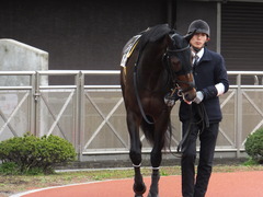 20170315 船橋1R 3歳 エッジ 03