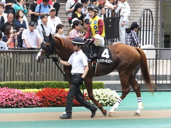 20150627 東京11R 夏至S ランドマーキュリー 09