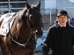 20140308 中山4R メジロサンノウ 04