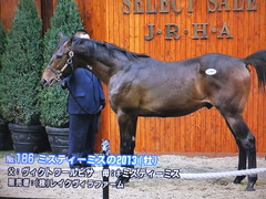 ヴィクトワールピサ&ミスティーミス