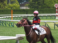 20170514 京都5R 3歳未勝利 ホウオウドリーム 27