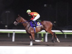 20180523 大井11R 大井記念(S1) ユーロビート 22
