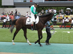 20150621 東京5R 2歳メイクデビュー カズノメガミ 10
