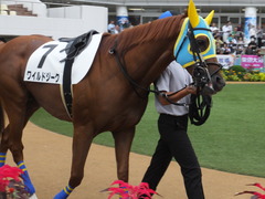 20161001 中山4R 3歳上障害未勝利 ワイルドジーク 10