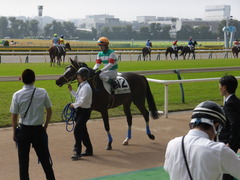 20141026 東京4R ラッシュアタック 14