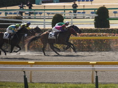 20150221 東京1R 3歳未勝利 フレンドマキシマム 10