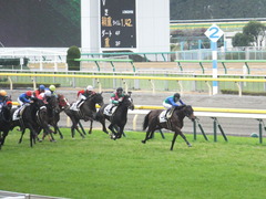 20141130 東京3R 2歳未勝利 トーセンカナロア 13