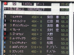 20141025 東京12R ゴールウェイ 01