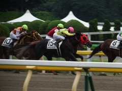 20180513 東京2R 3歳未勝利 ノーザンクリス 21