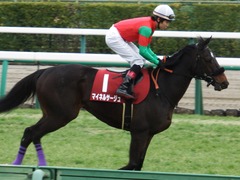 20180225 中山11R 中山記念(G2) マイネルサージュ 18