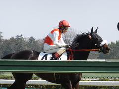 20140316 中山6R ショウナンラグーン 19