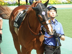 20180429 東京10R 晩春S(1600) クライムメジャー 03