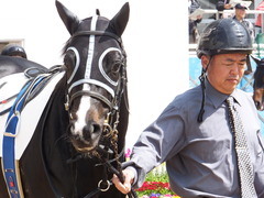 20150322 中山6R 3歳500万下 ファインライナー 05