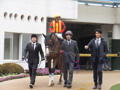 20140125 中山11R ユーロビート 11