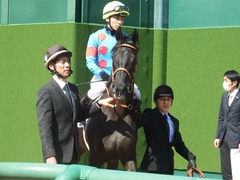 20190302 中山6R 3歳未勝利 マルニ 11