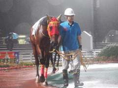 20180523 大井12R 薫風賞 B2 マイネルグルマン 03