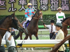 20180506 東京11R NHKマイルC(G1) ルーカス 14