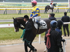 20150222 東京4R 3歳未勝利 ロジダーリング 10