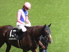 20170910 阪神9R 新涼特別(1000) メイショウノボサン 14