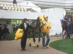 20111225 中山 1000万下のツボネちゃん