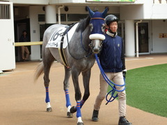 20180324 中山3R 3歳未勝利 ウェディングベール 02