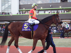 20180103 川崎11R 報知GC A1下 ユーロビート 20