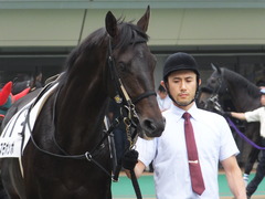20150614 東京3R 3歳未勝利 コスモポッポ 08